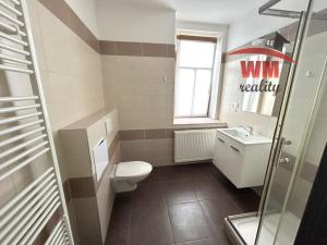 Pronájem bytu 1+kk, Chodov, Staroměstská, 24 m2