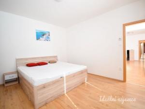 Pronájem bytu 2+kk, Brno - Zábrdovice, Francouzská, 60 m2