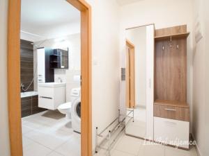 Pronájem bytu 2+kk, Brno - Zábrdovice, Francouzská, 60 m2