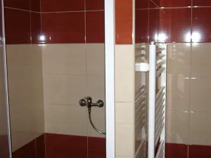 Pronájem pokoje, Brno, Šafaříkova, 12 m2