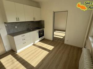 Pronájem bytu 1+1, Ostrava, Klegova, 40 m2
