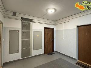 Pronájem bytu 1+1, Ostrava, Klegova, 40 m2
