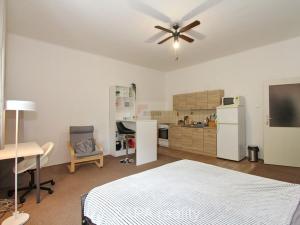 Pronájem bytu 1+kk, Praha - Nusle, Nad studánkou, 33 m2