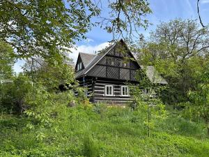 Prodej chalupy, Soběraz, 161 m2