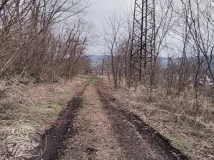 Dražba pozemku, Sušice, 7484 m2