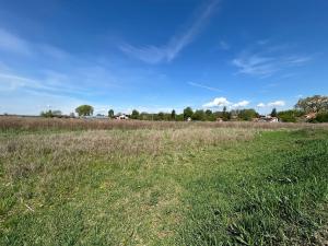 Prodej pozemku pro bydlení, Dašice, Pod Lipami, 1082 m2