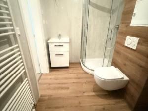 Pronájem bytu 1+kk, Brno, Faměrovo náměstí, 47 m2