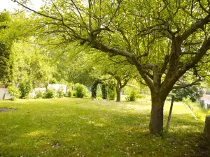 Prodej chaty, Bechyně, 40 m2