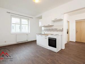 Pronájem bytu 1+1, Ostrava, Palackého, 45 m2