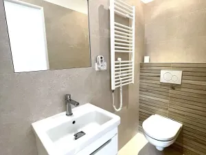 Pronájem bytu 1+kk, Praha - Nusle, Mečislavova, 26 m2