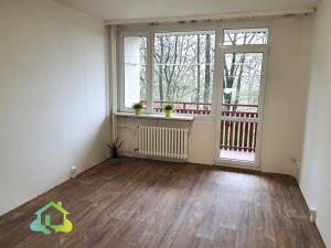 Pronájem bytu 1+kk, Liberec, Libušina, 29 m2