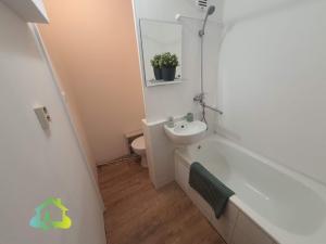 Pronájem bytu 1+kk, Liberec, Libušina, 29 m2