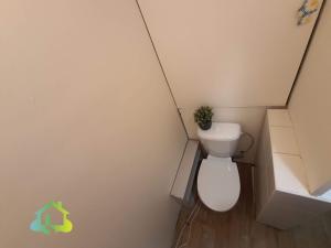 Pronájem bytu 1+kk, Liberec, Libušina, 29 m2