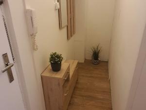Pronájem bytu 1+kk, Liberec, Libušina, 29 m2