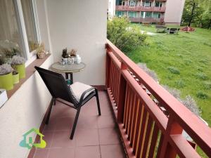 Pronájem bytu 1+kk, Liberec, Libušina, 29 m2