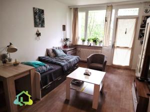 Pronájem bytu 1+kk, Liberec, Libušina, 29 m2