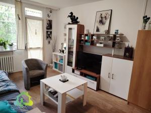 Pronájem bytu 1+kk, Liberec, Libušina, 29 m2