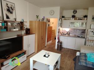 Pronájem bytu 1+kk, Liberec, Libušina, 29 m2