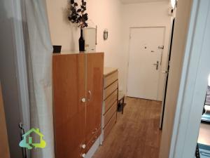 Pronájem bytu 1+kk, Liberec, Libušina, 29 m2