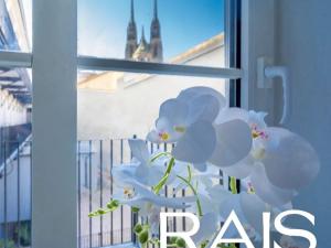 Prodej bytu 3+kk, Brno, Bašty, 60 m2