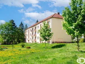 Prodej bytu 3+1, Milevsko, Libušina, 73 m2