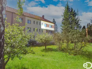 Prodej bytu 3+1, Milevsko, Libušina, 73 m2