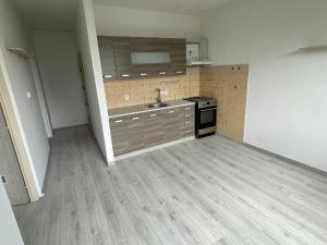Pronájem bytu 1+1, Pardubice, Lonkova, 47 m2