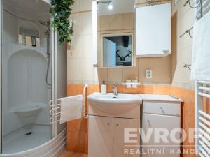 Prodej chalupy, Holenice, 130 m2