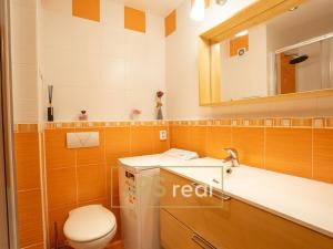 Prodej bytu 2+kk, Brno, Velkopavlovická, 40 m2