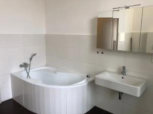 Pronájem bytu 2+kk, Olomouc, Palackého, 80 m2