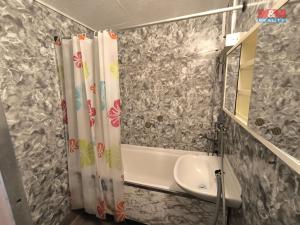 Pronájem bytu 2+1, Teplice, Alejní, 45 m2