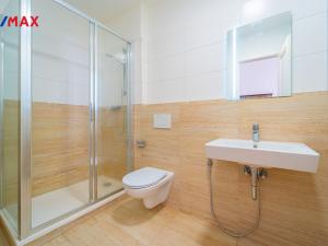 Prodej bytu 4+kk, Praha - Vinohrady, Škrétova, 120 m2