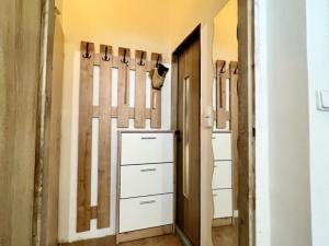 Pronájem bytu 1+1, Opava - Předměstí, Jaselská, 39 m2
