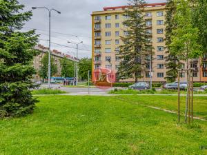 Prodej bytu 3+kk, Ostrava, Sokolovská, 73 m2