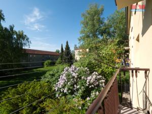 Prodej bytu 2+1, Příbram - Příbram VII, Mariánská, 52 m2