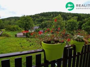 Pronájem bytu 3+kk, Červená Voda, Červená Voda, 67 m2