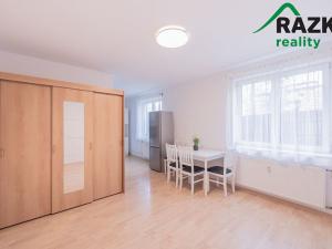 Pronájem bytu 1+kk, Planá, Bohušova, 30 m2