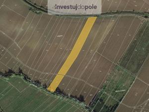 Prodej pole, Mutějovice, 2150 m2