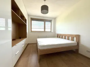 Pronájem bytu 3+kk, Plzeň - Severní Předměstí, Bolevecká, 89 m2