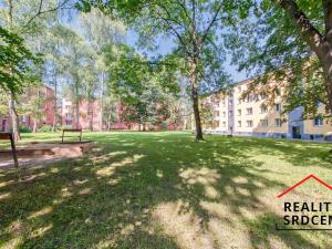 Pronájem bytu 1+1, Ostrava, Svazácká, 39 m2
