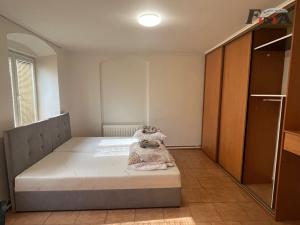 Pronájem rodinného domu, Horní Police, nám. Odboje, 180 m2
