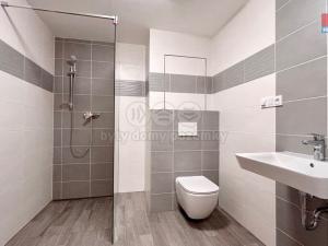 Pronájem bytu 2+kk, Poděbrady, Vrchlického, 60 m2
