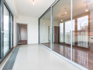 Prodej bytu 2+kk, Praha - Žižkov, Olšanská, 64 m2