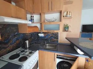 Pronájem bytu 1+kk, Ostrava, Resslova, 33 m2