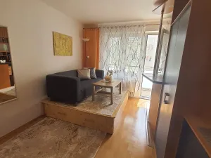 Pronájem bytu 1+kk, Ostrava, Resslova, 33 m2