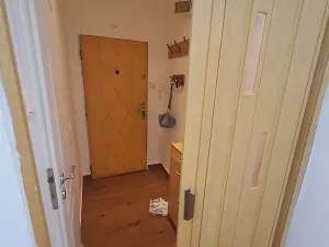 Pronájem bytu 1+kk, Ostrava, Resslova, 33 m2