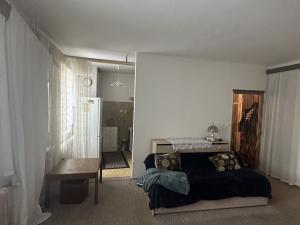 Prodej bytu 1+kk, Praha - Veleslavín, Na okraji, 44 m2