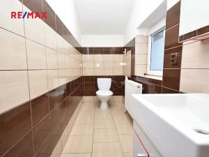 Pronájem bytu 3+kk, Libiš, Konečná, 44 m2