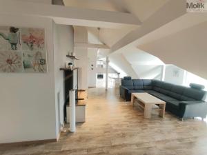 Prodej bytu 3+kk, Most, Mikoláše Alše, 111 m2