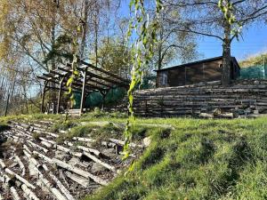 Prodej zahrady, Tachov, Příčná, 365 m2